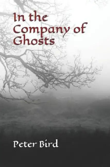 In the Company of Ghosts by Peter Bird