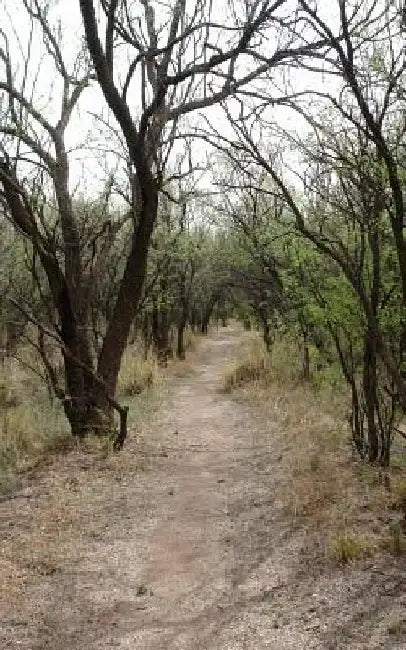 How To Live: Change your path: Learn from my mistakes by Trina Jordan