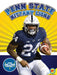 Penn State Nittany Lions by Gordon Owens
