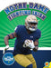 Notre Dame Fighting Irish by Ramey Temple