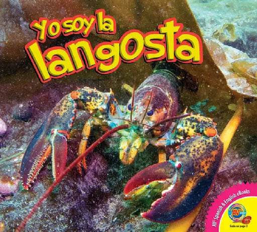 La Langosta (Lobster) by Jared Siemens