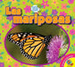 Las Mariposas (Butterflies) by Heather Kissock