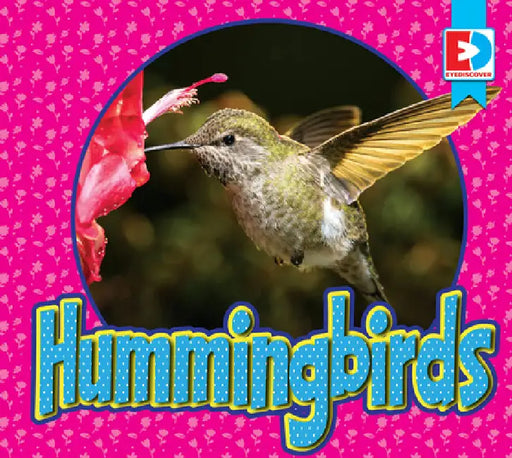 Hummingbirds by Maria Koran