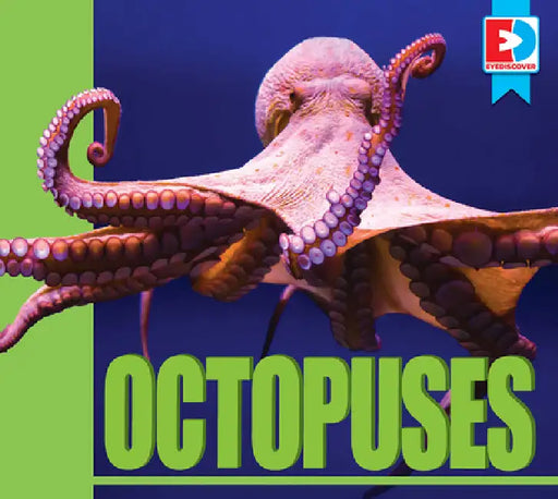 Octopuses by Maria Koran