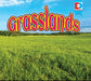 Grasslands by Maria Koran