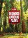 Redwood by Neil Purslow