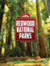Redwood by Neil Purslow