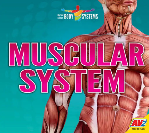 Muscular System by Faith Woodland, Priyanka Das
