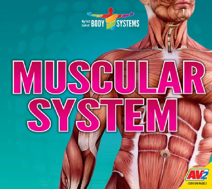 Muscular System by Faith Woodland, Priyanka Das