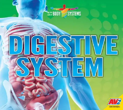 Digestive System by Lily Erlic