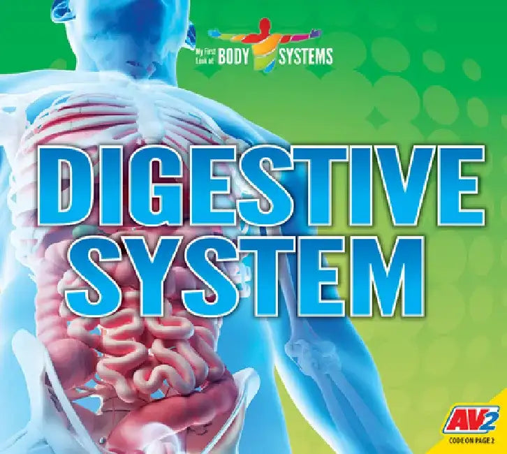 Digestive System by Lily Erlic