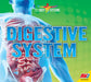 Digestive System by Lily Erlic