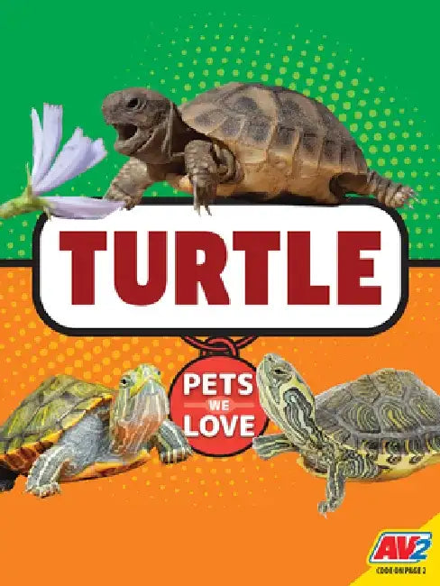 Turtle by Lynn Hamilton