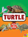 Turtle by Lynn Hamilton