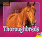 Thoroughbreds by Maria Koran