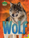 Wolf by Katie Gillespie