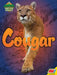Cougar by Tatiana Tomljanovic