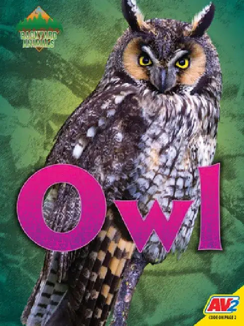 Owl by Nick Winnick