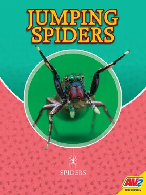 Jumping Spiders by Blaine Wiseman