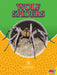 Wolf Spiders by Blaine Wiseman