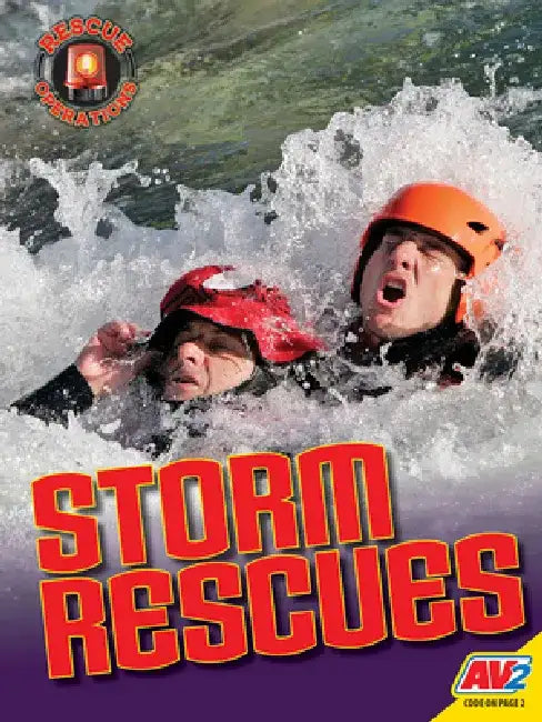 Storm Rescues by Mark L. Lewis