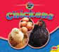Chickens by Ruth Daly