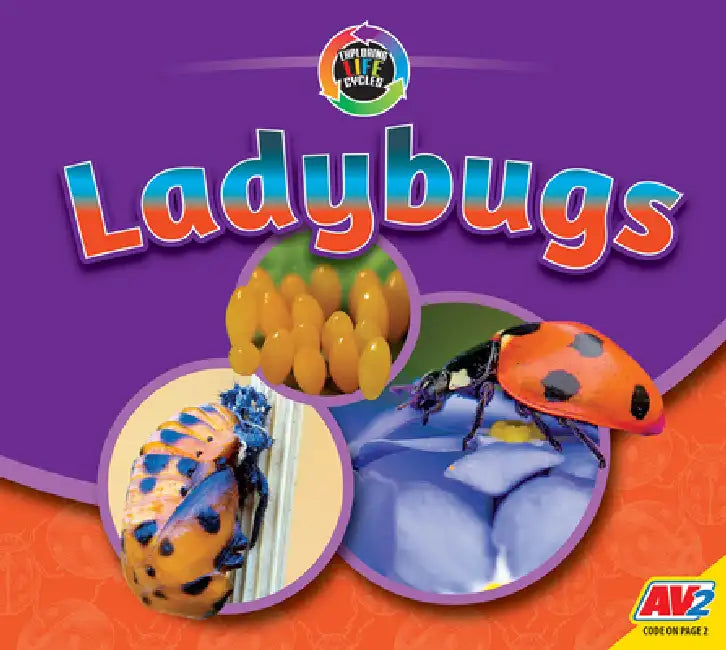 Ladybugs by Aaron Carr