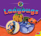 Ladybugs by Aaron Carr