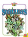 Succulents by Candice Letkeman