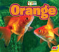 Orange by Kaite Goldsworthy