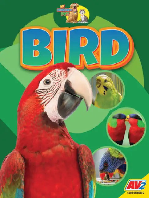 Bird by Jared Siemens