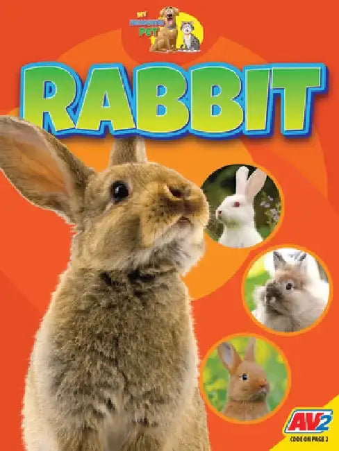 Rabbit by Jared Siemens