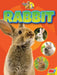 Rabbit by Jared Siemens