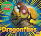 Dragonflies by Aaron Carr