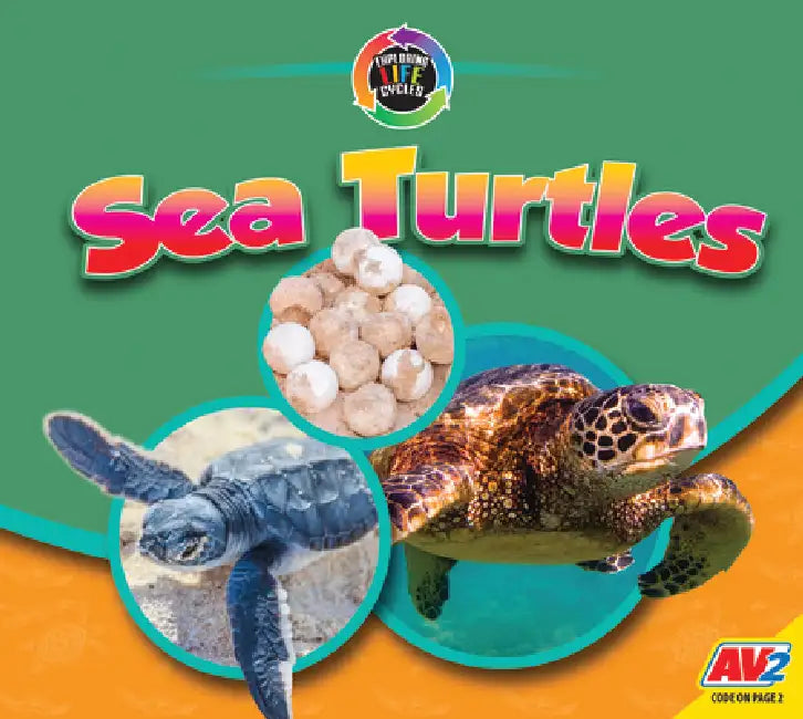 Sea Turtles by Aaron Carr