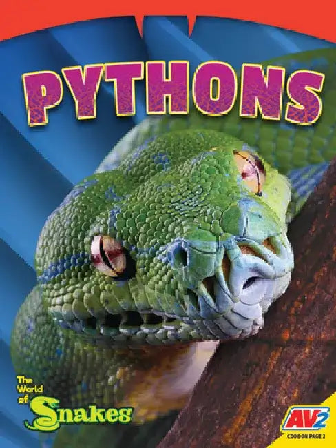 Pythons by Serena Stone