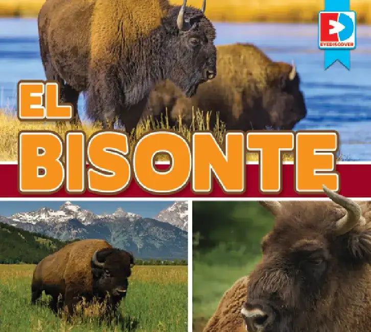 El Bisonte (Bison) by Maria Koran