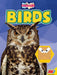 Birds by Katie Gillespie