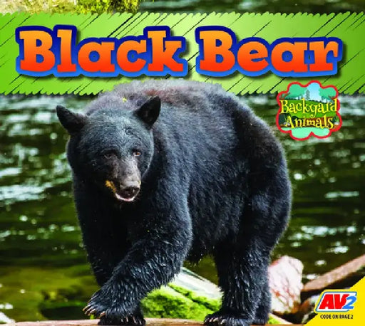 Black Bear by Pamela McDowell