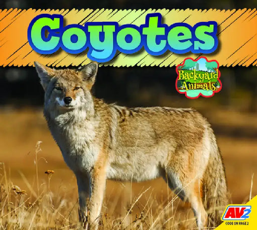 Coyote by Jordan McGill