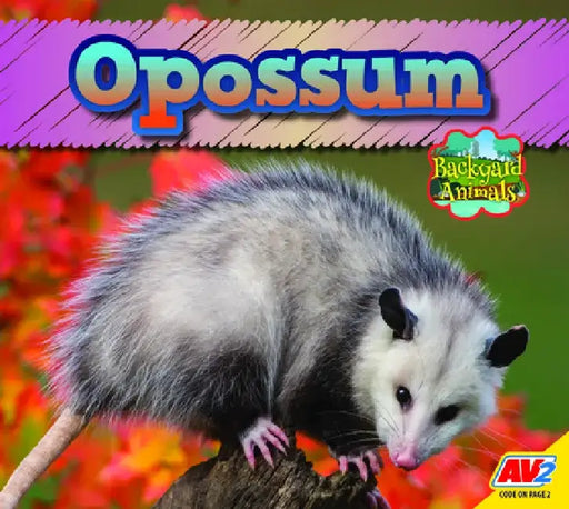 Opossum by Jordan McGill