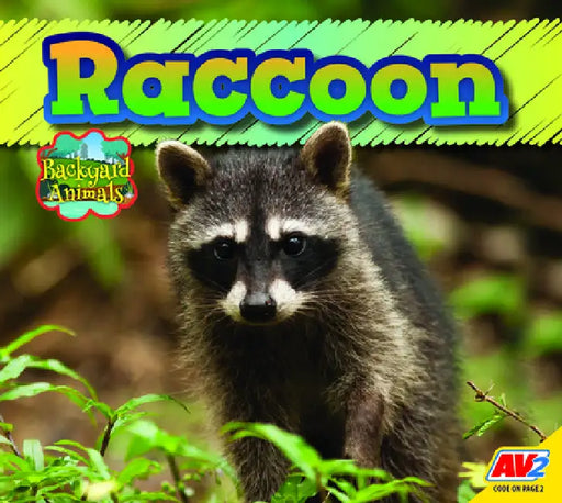 Raccoon by Jordan McGill
