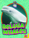 Beluga Whales by E. Melanie Watt