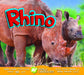 Rhino by Aaron Carr