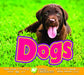 Dogs by Aaron Carr