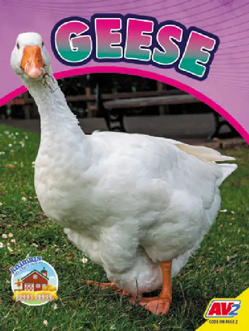 Geese by Sierra Wilson