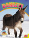 Donkeys by Sierra Wilson