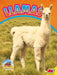 Llamas by Heather C. Hudak