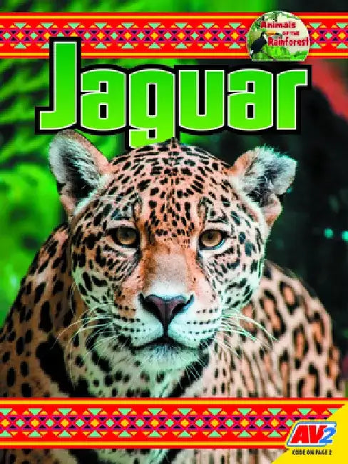 Jaguar by Steve McLeod