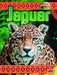 Jaguar by Steve McLeod